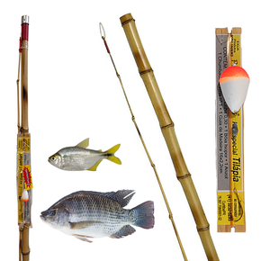 Kit Pesca de Rio Molinete Drag7kg e Vara Piau Lambari Traira