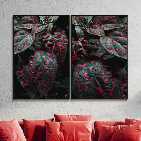 04 telas canvas fine art com molduras brilhantemente verde com rosa