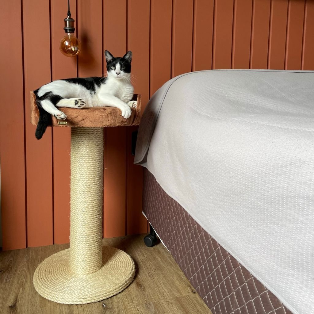 Arranhador Cama Sisal Gatos - Rede Descanso Madeira Natural