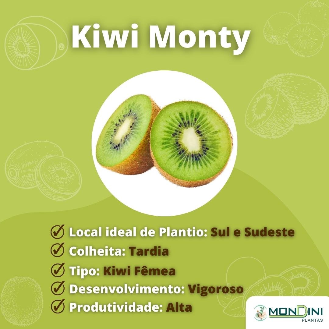 Muda de Kiwi Monty Mondini Plantas
