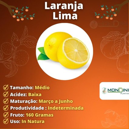 Laranja lima  Vivendo Com Colite