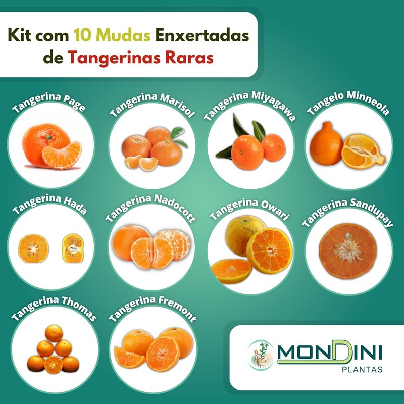 10 tangerinas