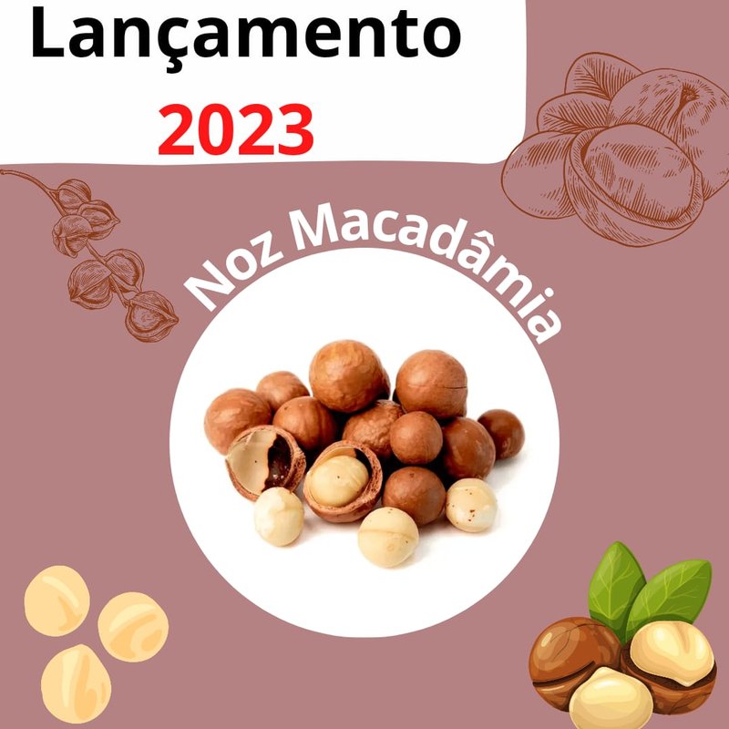 noz macadamia capa