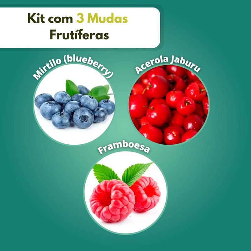 kit 3 frutiferas