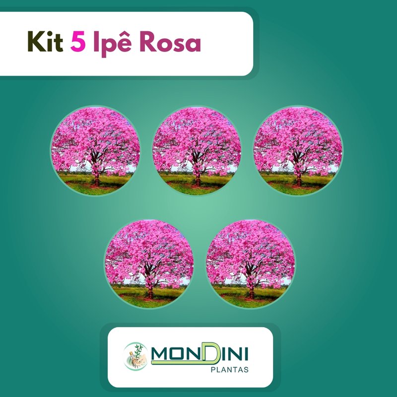 kit 5 ipe rosa