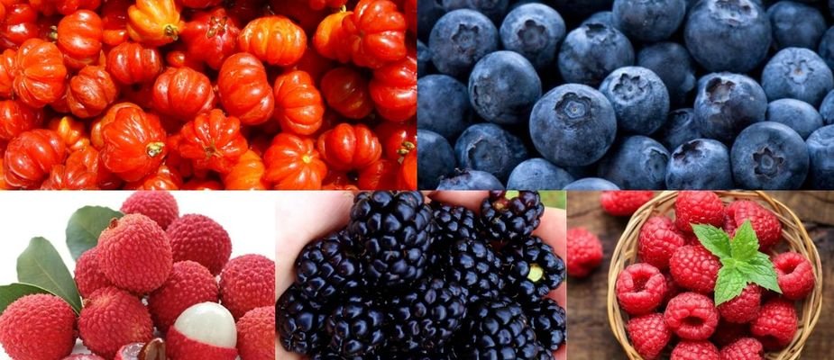Top 5 Mudas Frutíferas para um Jardim Delicioso