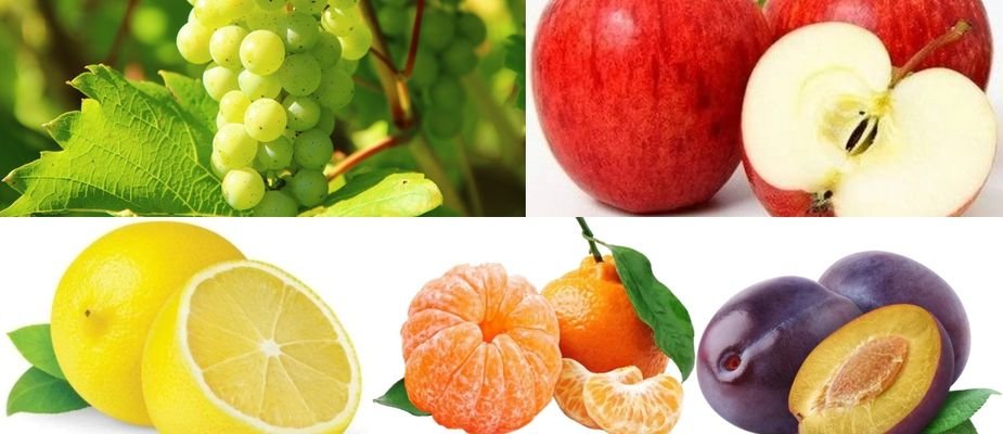5 Mudas Frutíferas Imperdíveis para um Pomar Caseiro Espetacular