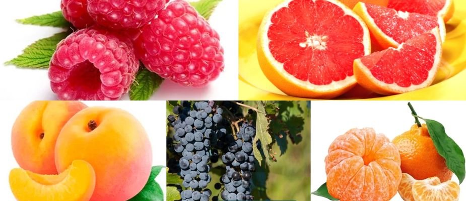 5 Mudas Frutíferas Incríveis Para Seu Espaço Verde