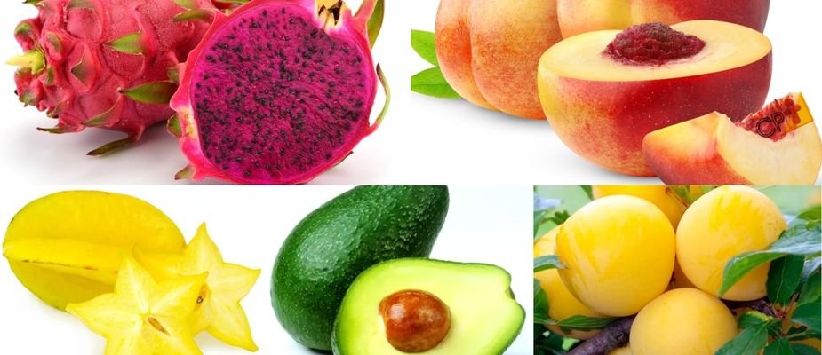 5 Mudas Frutíferas Perfeitas para Cultivar Agora