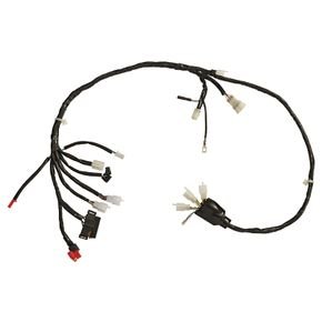 fiacao principal biz 125 2006
