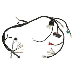 fiacao principal fan 125 2009 11 ks