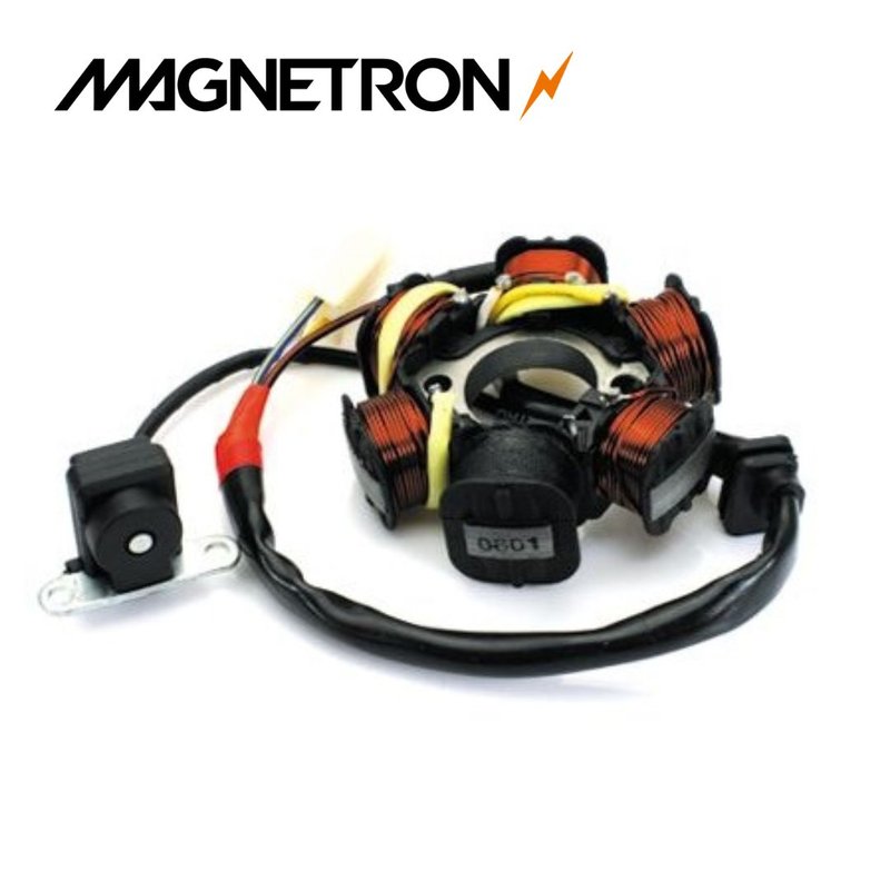 Magneto Girante PJ250/350 - Askoll