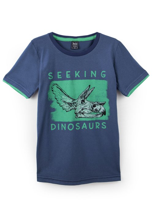 camiseta-juvenil-menino-seeking-14041