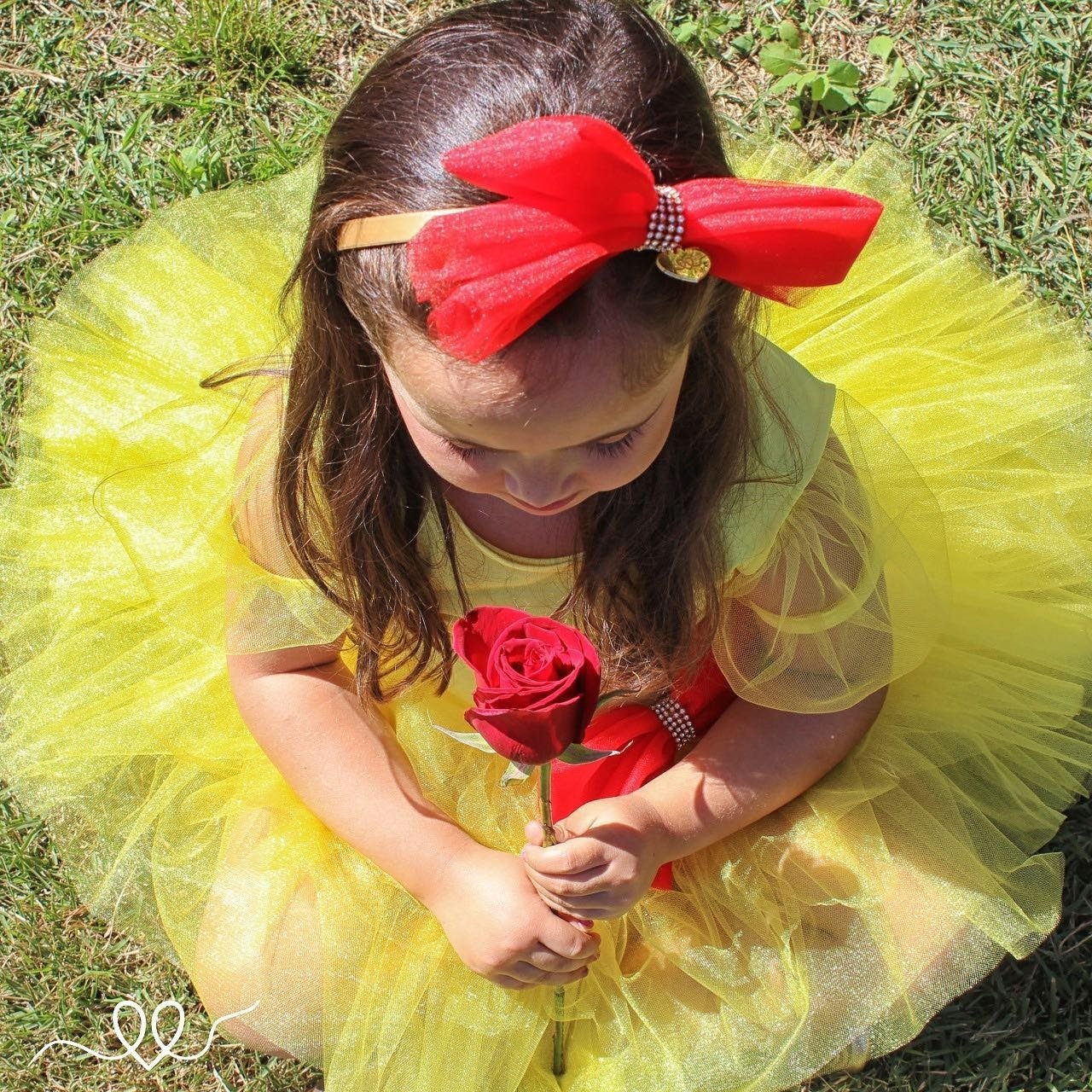 Vestido Tutu Rainha das Rosas - Bela Vestido Tutu Rainha das Rosas - Bela