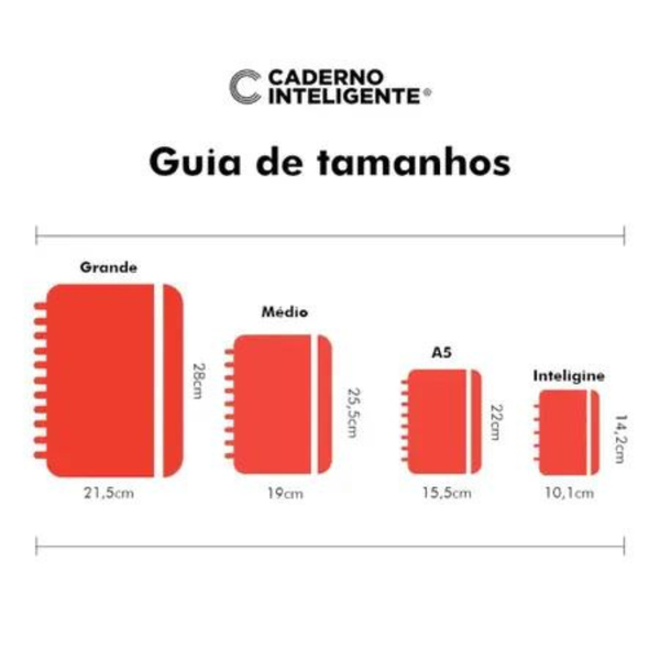 Caderno Inteligente Universitário Pandalu By Luluca