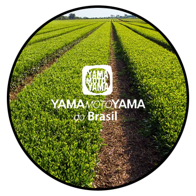 yamamotoyama do brasil
