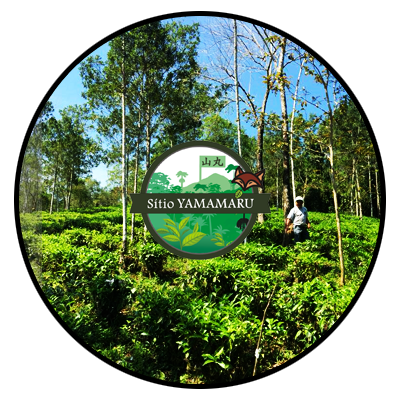 sitio yamamaru