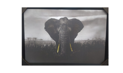 quadro decorativo vida animal elefante barato decoracao capa