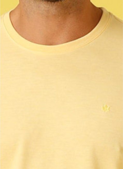 t shirt masculina bsica meia malha regular fit amarela se0301245 am0024 18