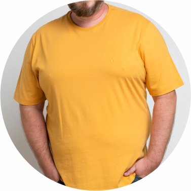 camiseta masculina plus size basica amarela se0305020 am0047 7