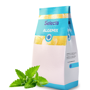 013164 po para sorvete selecta algemix 1 kg menta 7896411804916