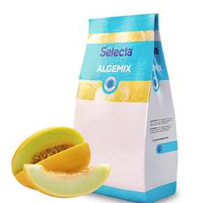 015720 po para sorvete selecta algemix 1 kg melao 7896411805586