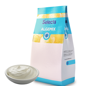 019528 po para sorvete selecta algemix 1 kg nata 7896411802813