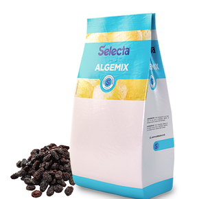 020512 po para sorvete selecta algemix 1 kg passas ao rum 7896411804589