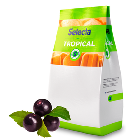 Sorvete Mousse de Limão Siciliano Baden Baden Pote 1,3L