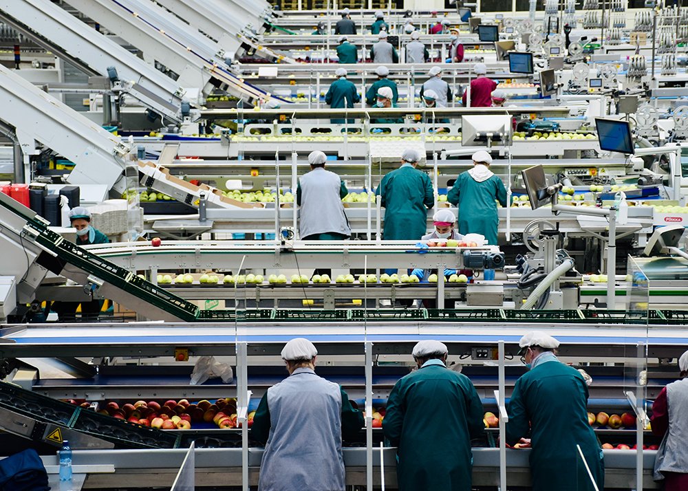 linha de producao