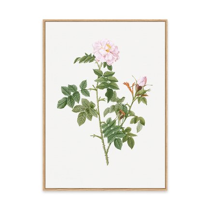 mockup canvas pinus 1