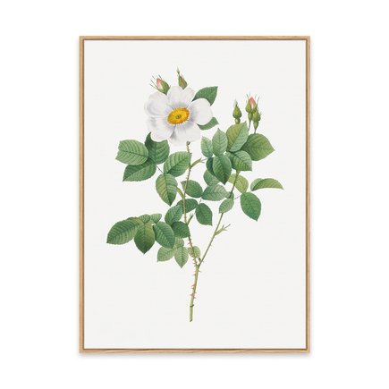 mockup canvas pinus 1