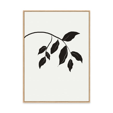 canvas pinus 1