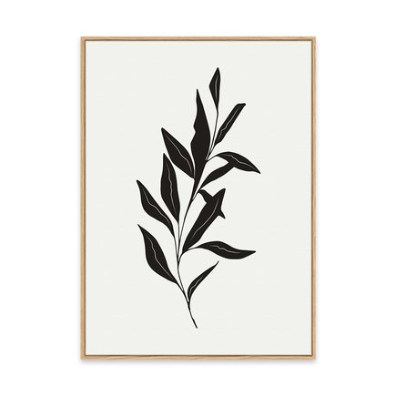 canvas pinus 1