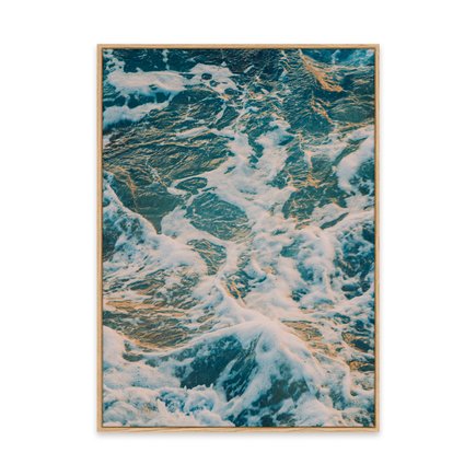 canvas pinus 1