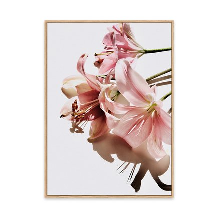 canvas pinus 1