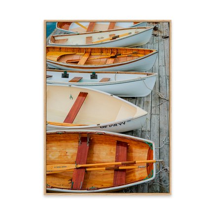 canvas pinus 1