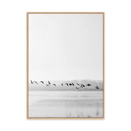 canvas pinus 1