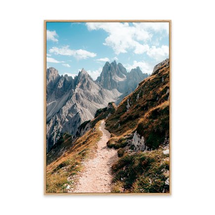 canvas pinus 1