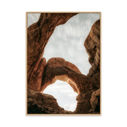 canvas pinus 1
