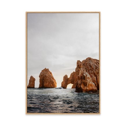 canvas pinus 1