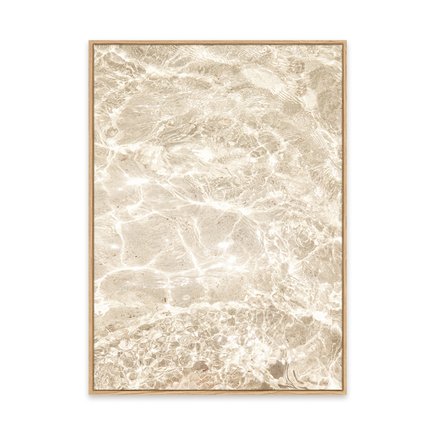 canvas pinus 1