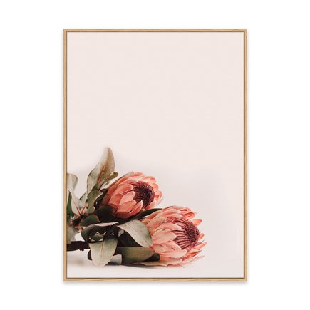 canvas pinus 1