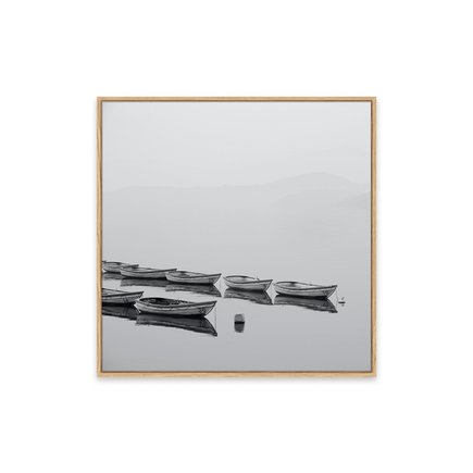 canvas pinus 1