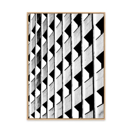 canvas pinus 1