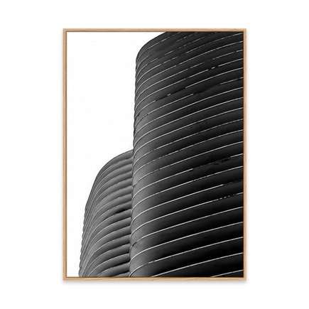 canvas pinus 1