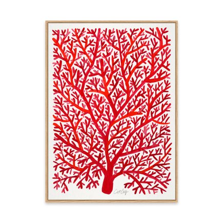 canvas pinus 1