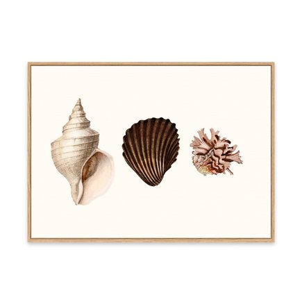 canvas pinus 1