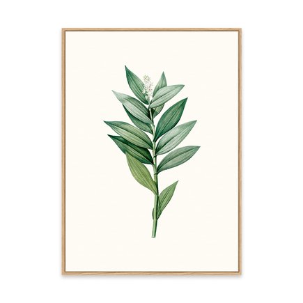 canvas pinus 1