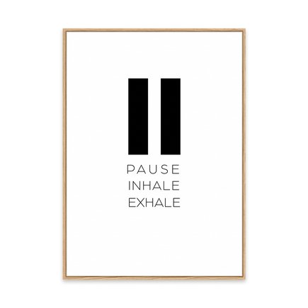 canvas pinus 1